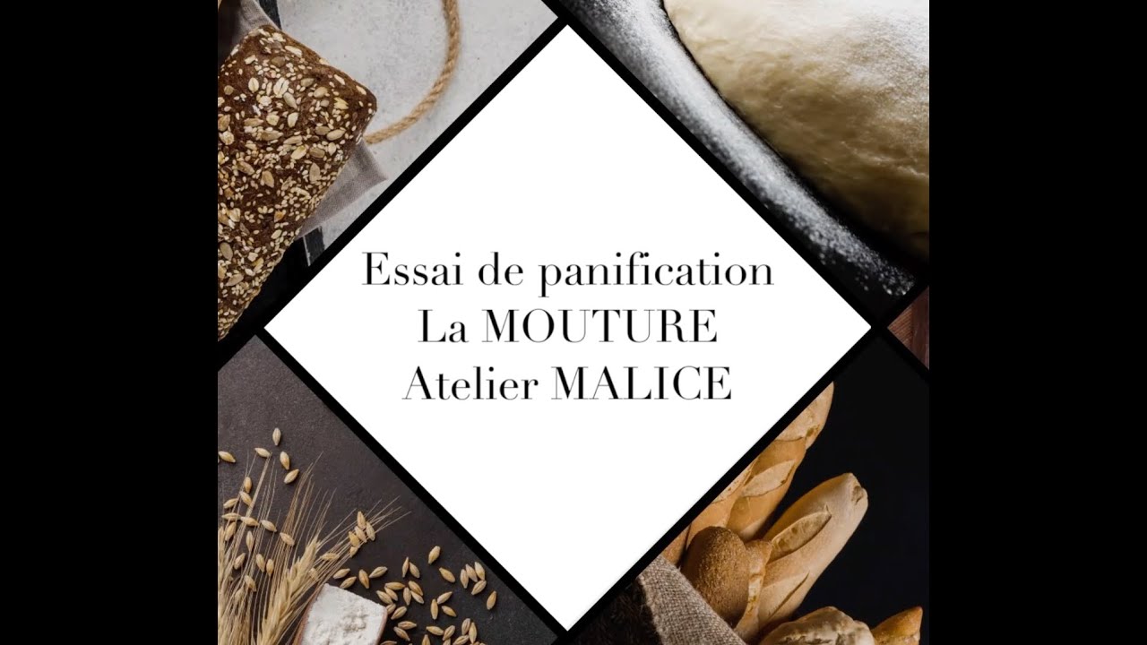 L'ESSAI de PANIFICATION : La mouture