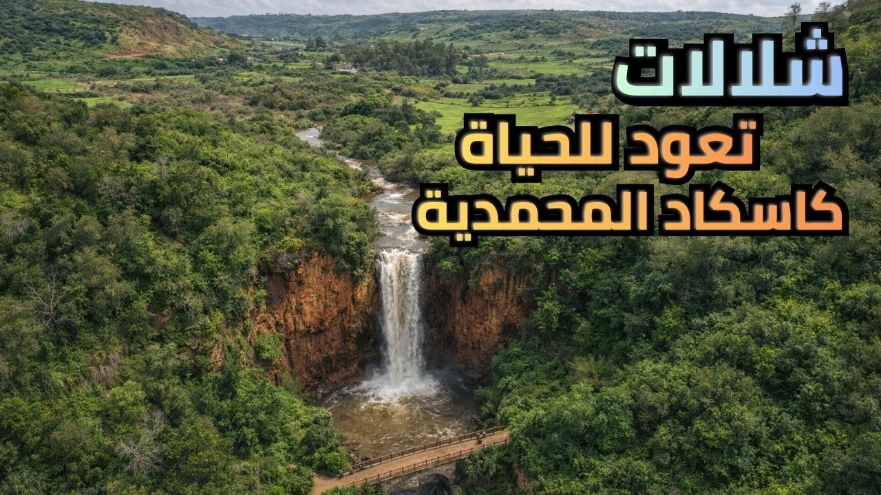 تفاجأت بجمال شلالات سيدي حجاج و الطبيعة المحيطة ☘️🌳 و لقيت الواد حابس الطريق !!