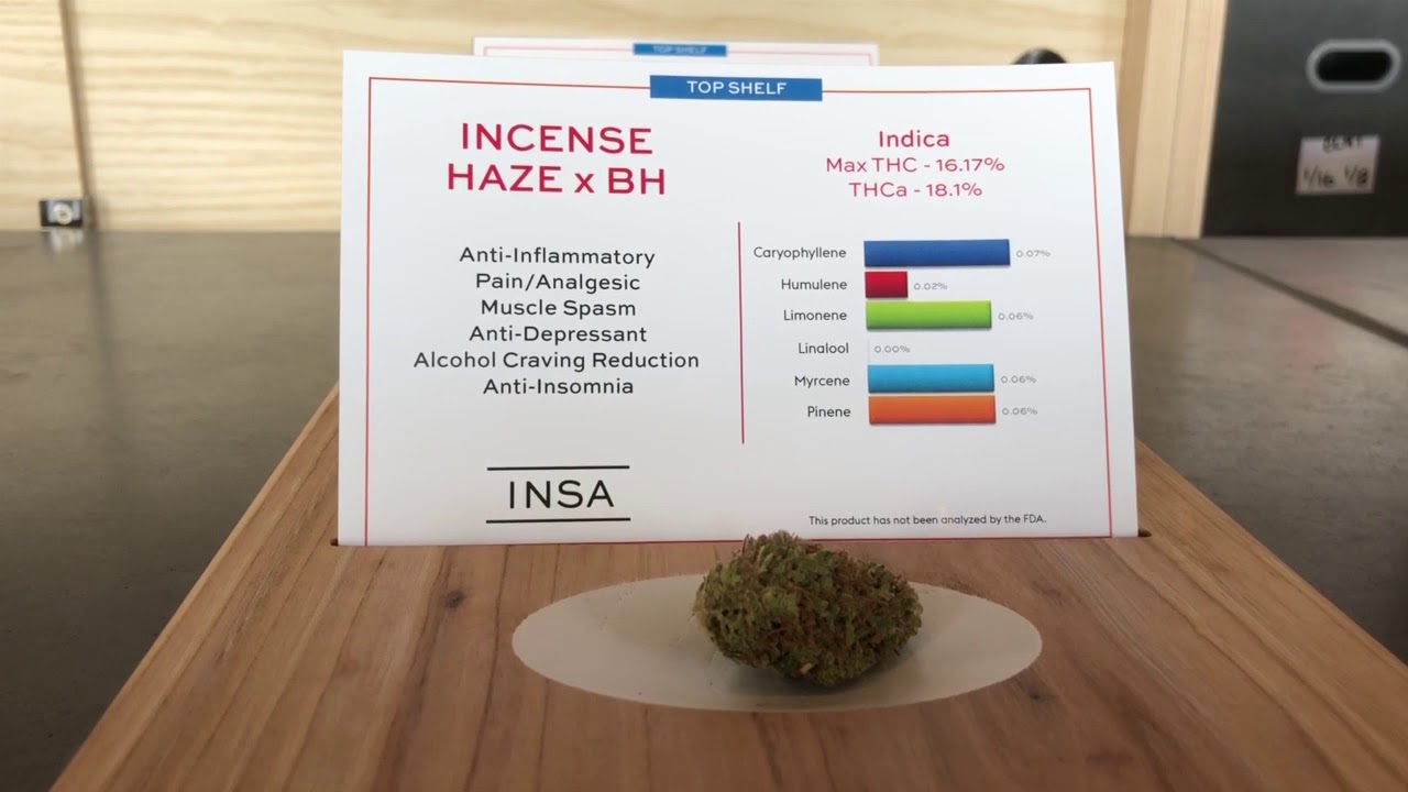 INSA medical marijuana dispensary opens in Easthampton