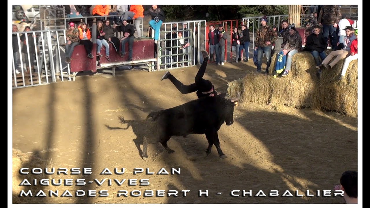 Course au Plan Aigues-Vives 14-02-2015