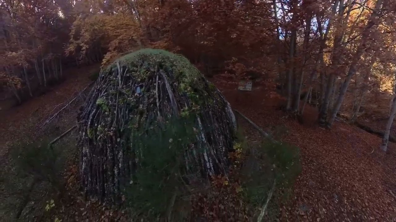 El Hayedo de Tejera negra en otoño.