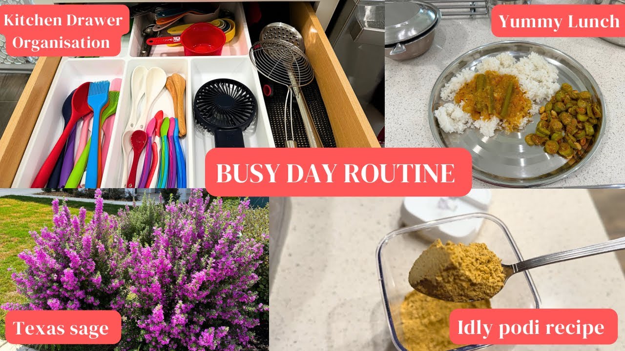 தமிழில்~ Busy Day Routine || Idly podi recipe || Kitchen drawer cleaning