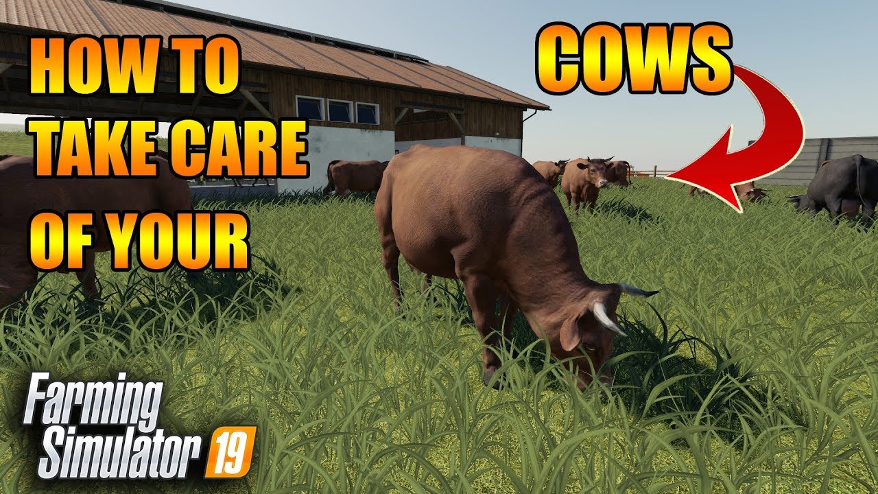 How to Cows... A Guide to 100% Productivity | How to FS19 | Tutorial | Farming Simulator 19