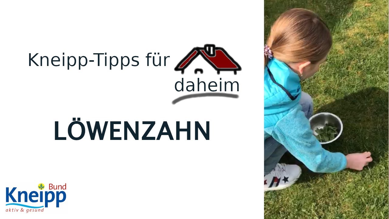 L&ouml;wenzahn (Superfood aus dem Garten) | Kneipp-Tipps f&uuml;r daheim Teil 4
