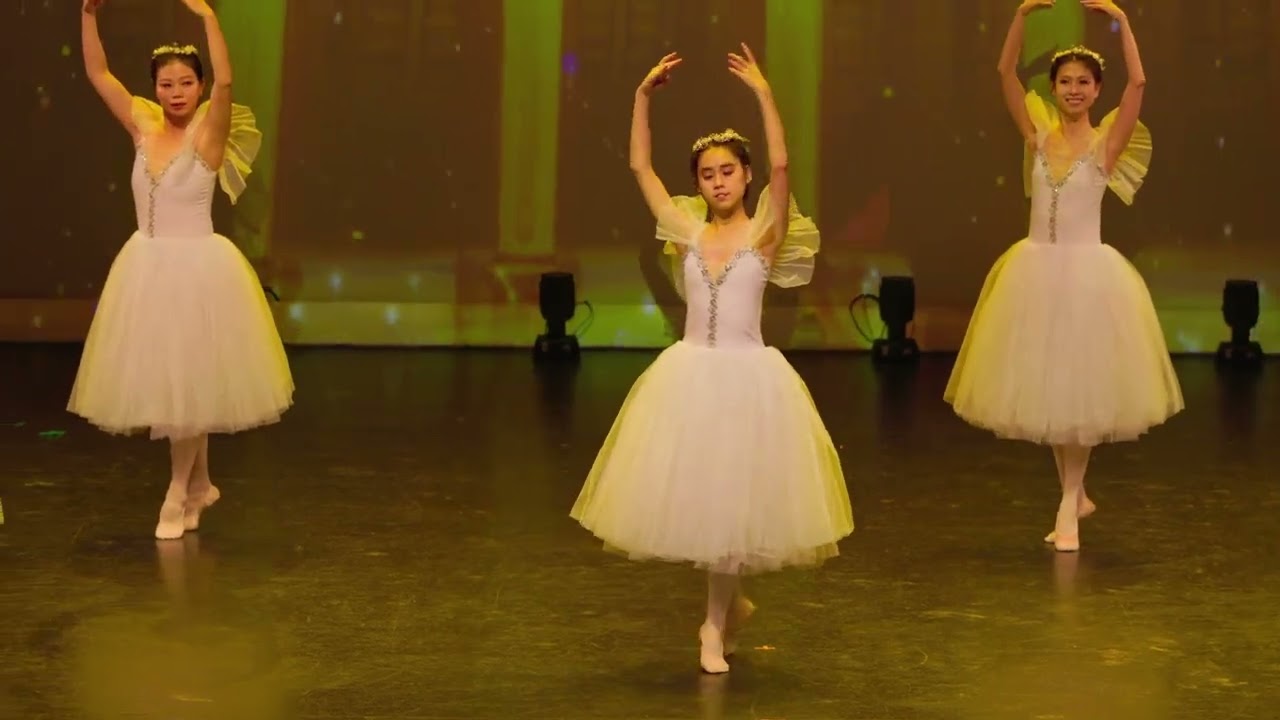 ballet dance performance 25
