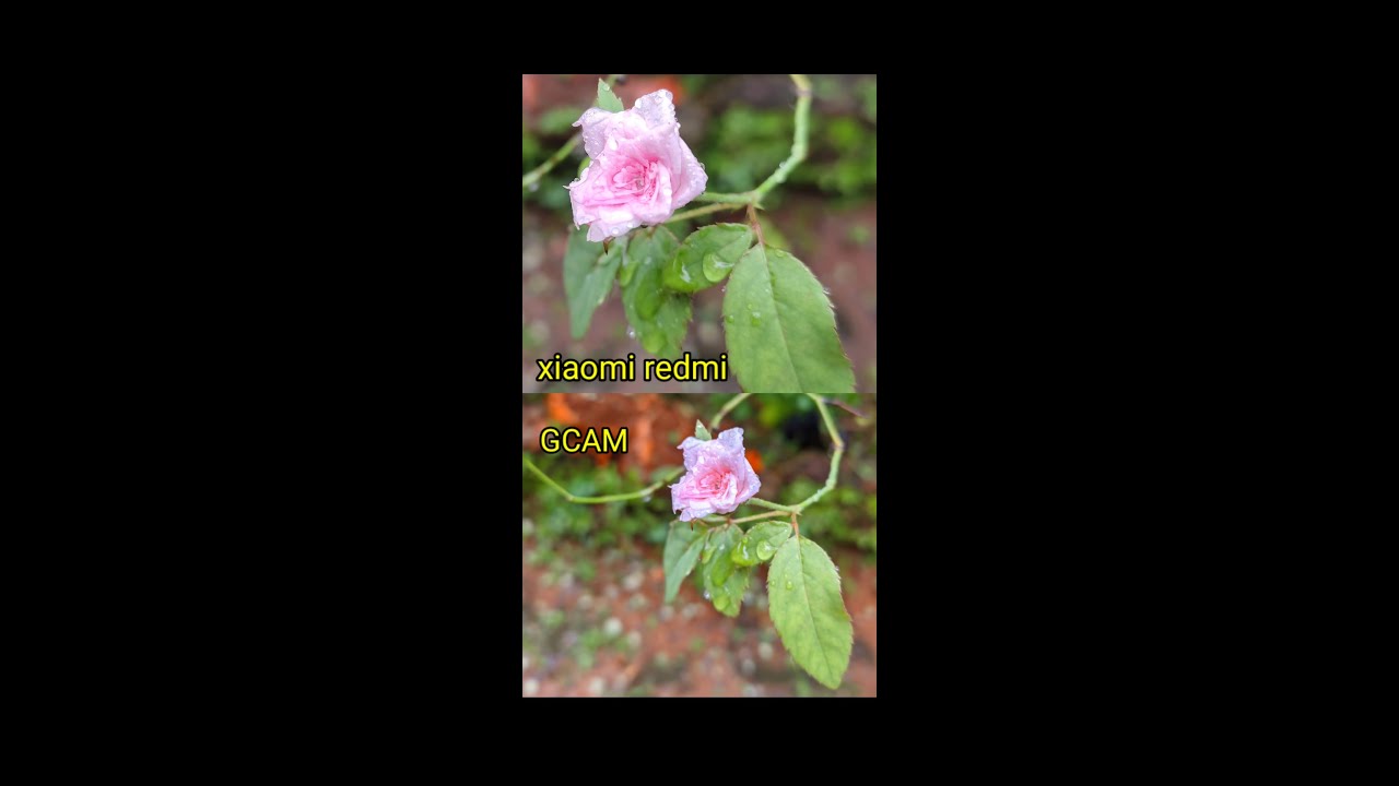 xiaomi redmi camera vs Google camera test 