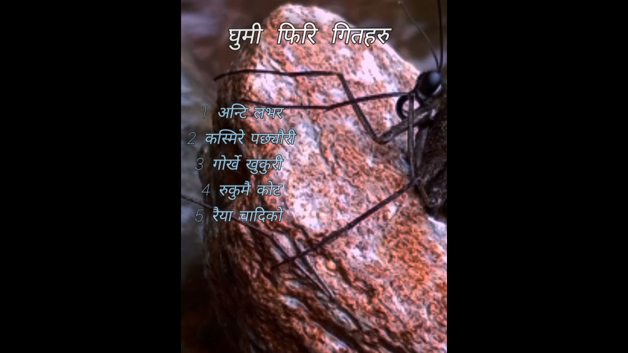 सुपरहिट नेपाली गितहरु #अन्टी लभर / #कस्मिरे पछ्यौरी / #गोर्खे खुकुरि / #रुकुमै कोट / #रैया चादिको / 