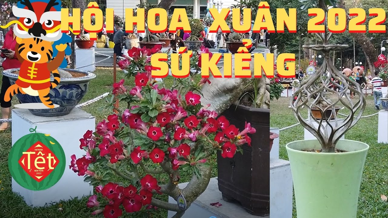 HỘI HOA XUÂN TAO ĐÀN NĂM 2022| SỨ KIỂNG | LIFE IN SAIGON