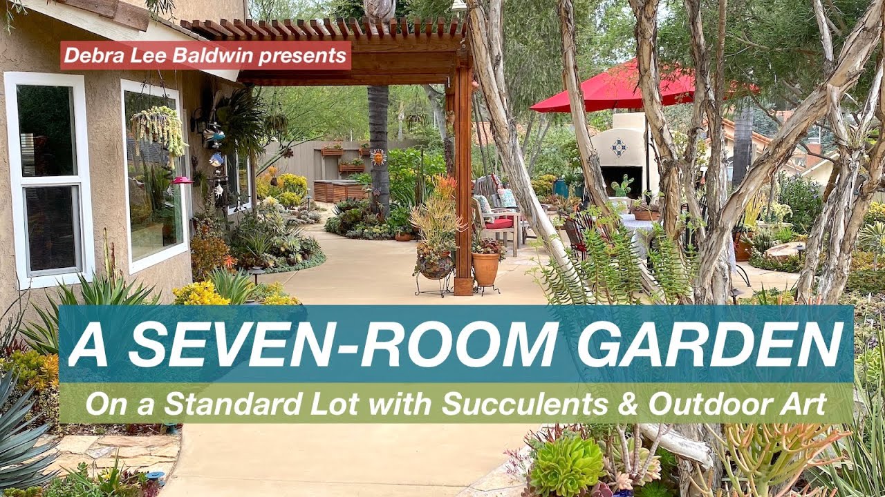 Посмотрите на 7-комнатный суккулентный сад на стандартном участке