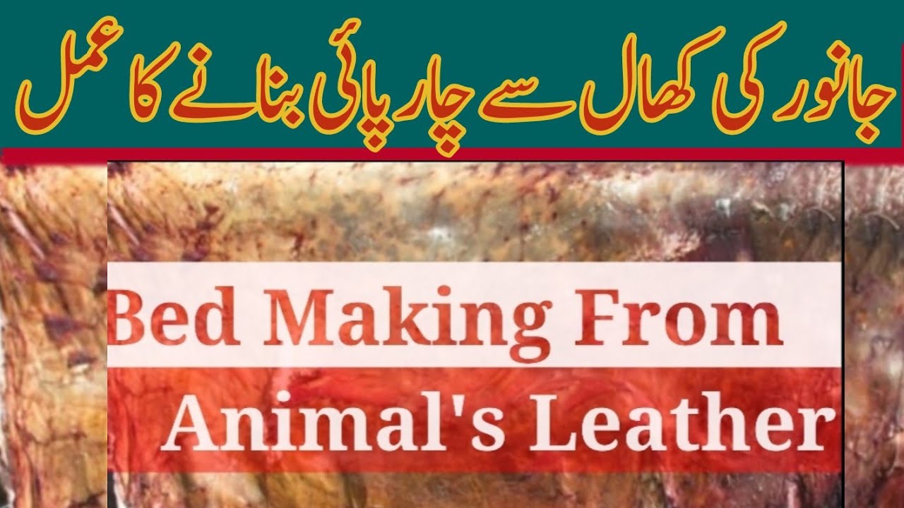 Making a charpai (bed) of the animal's Leather/جانور کی کھال سے چارپائی بنانا/ The Village Life