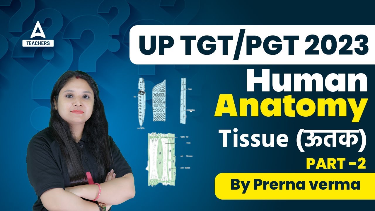 UP TGT PGT Home Science Classes 2023 | Home Science Human Anatomy Tissue (ऊतक) #2  By Prerna Ma'am