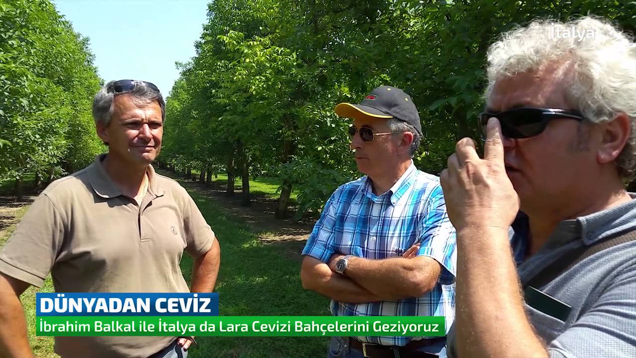Dünyadan Ceviz | İtalya 2. Bölüm