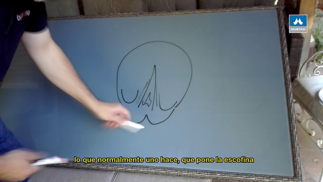 Saber si tu caballo está bien aplomado