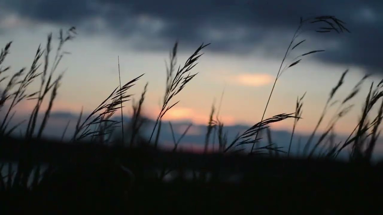 SPECTRACOM - Ambient1