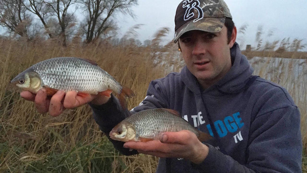 Fishing For Big Roach On The River
