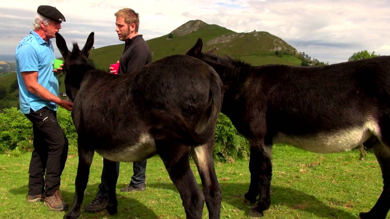 CHANSONS TRADITIONNELLES - Chanter avec des ânes - Bigorre - Tv Izard - Esprit des Pyrénées