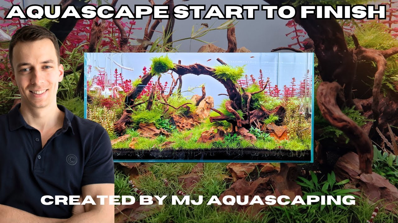MJ AQUASCAPING — ПРОЯВЛЯЙТЕ ТВОРЧЕСТВО В OASE SCAPERLINE 60 60CM 2FT AQUASCAPE