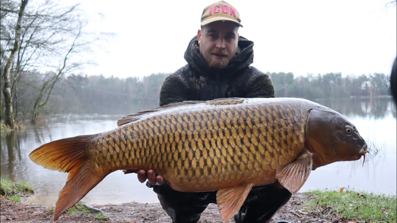 Karpers vangen in februari 🎣🌧️