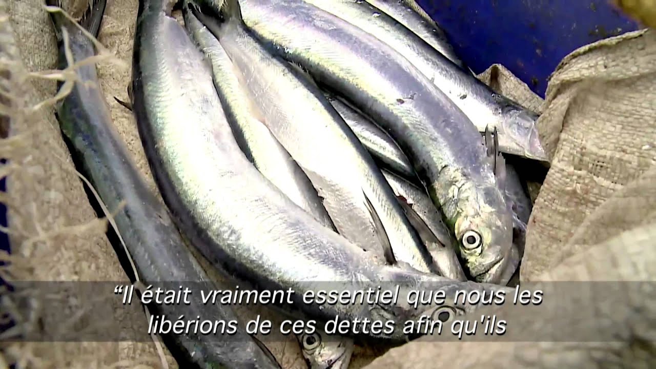 India: Fishing For Freedom (French)