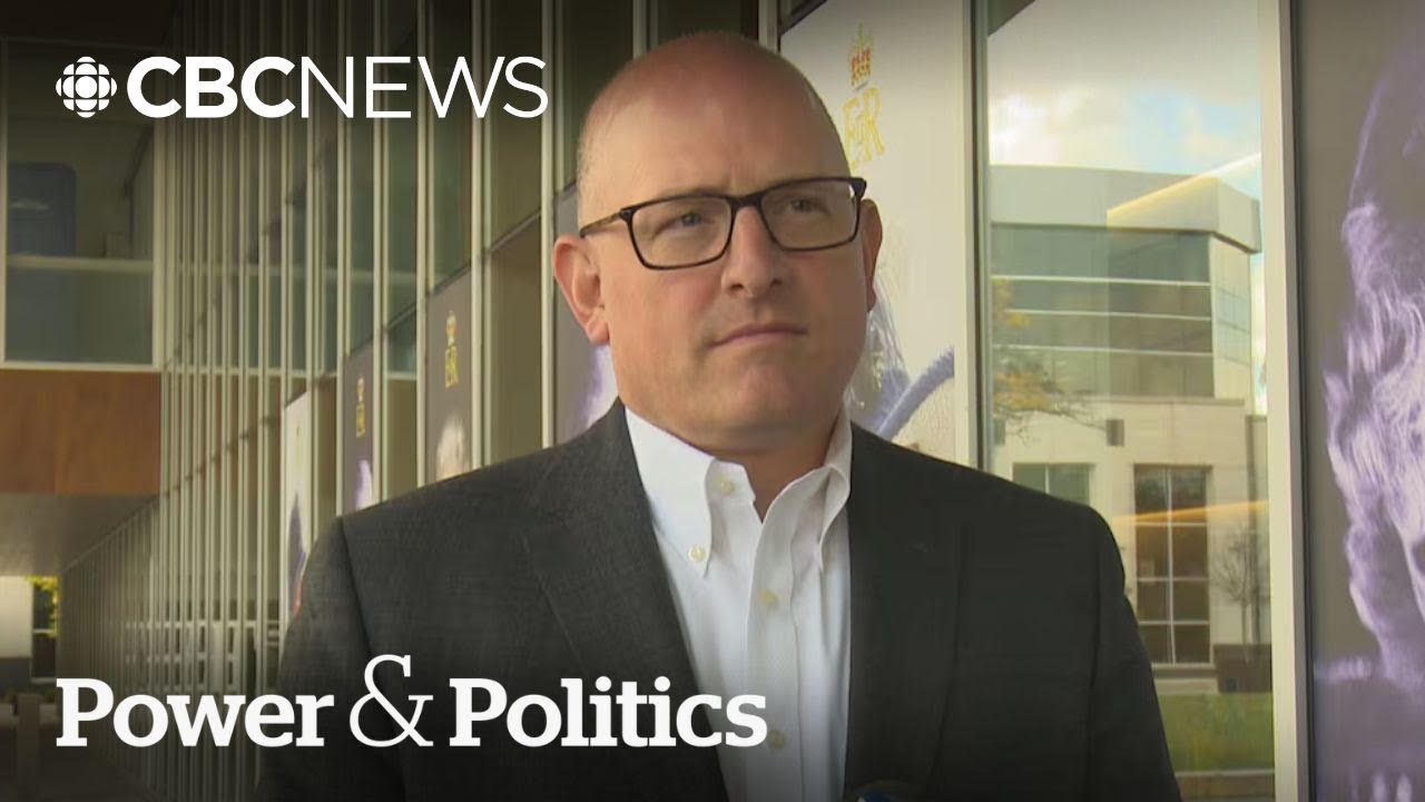 Windsor mayor says Trump's threat over bridge to his city 'just insane' | Power & Politics