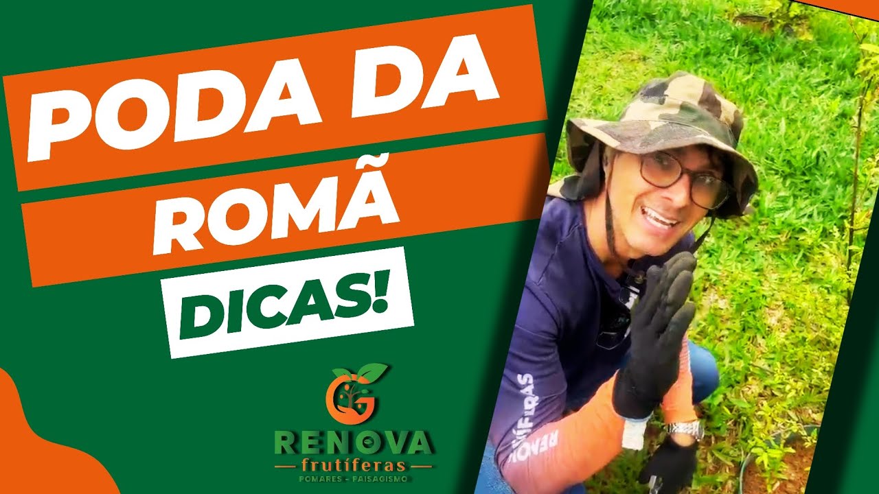 Poda da Romã - Dicas e como fazer!