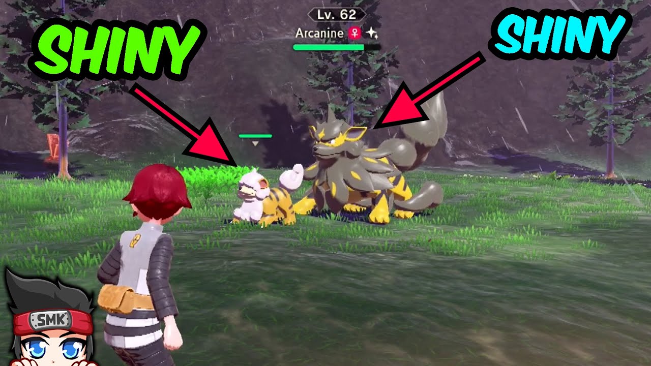 Double Shiny Pokemon Encounter