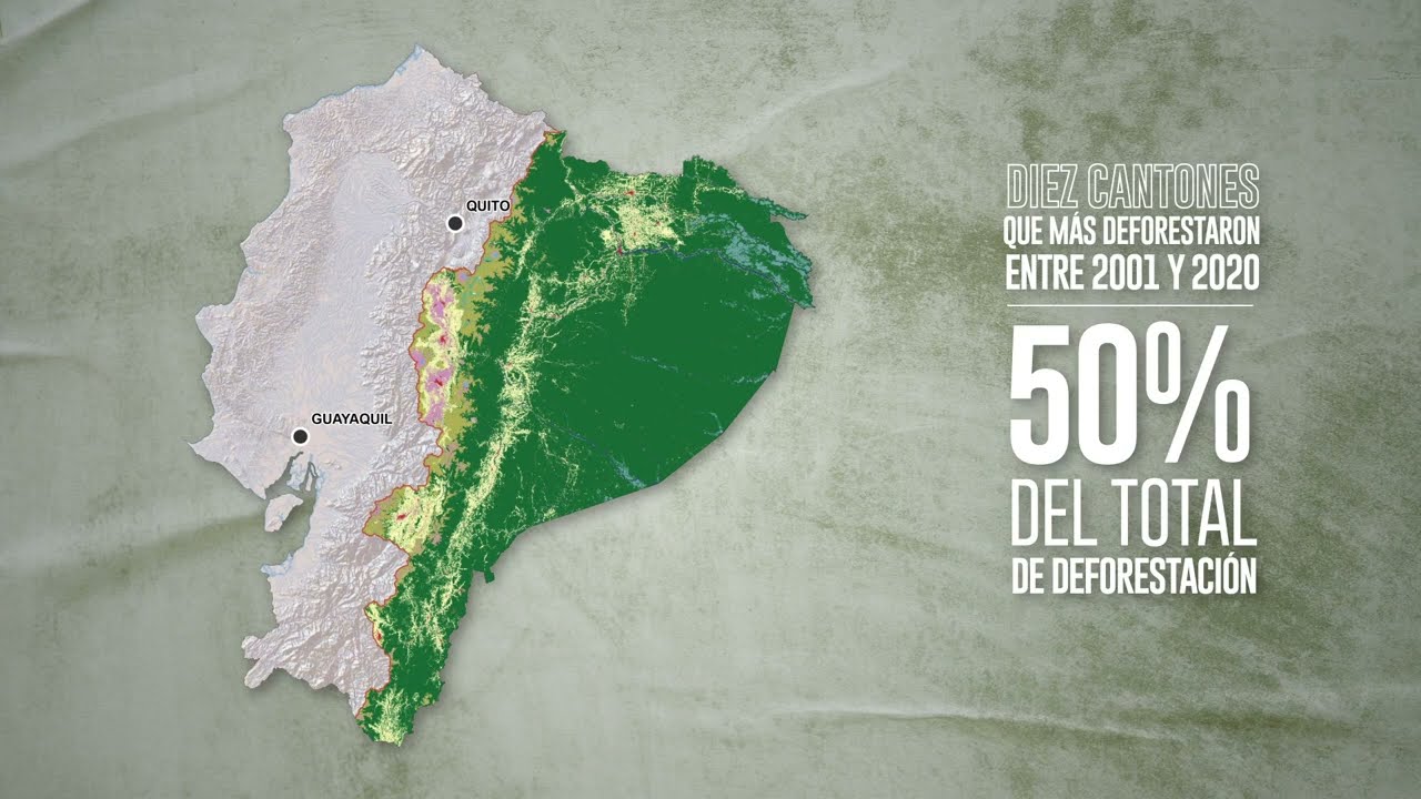 Resultados del mapa de deforestación en la Amazonía ecuatoriana