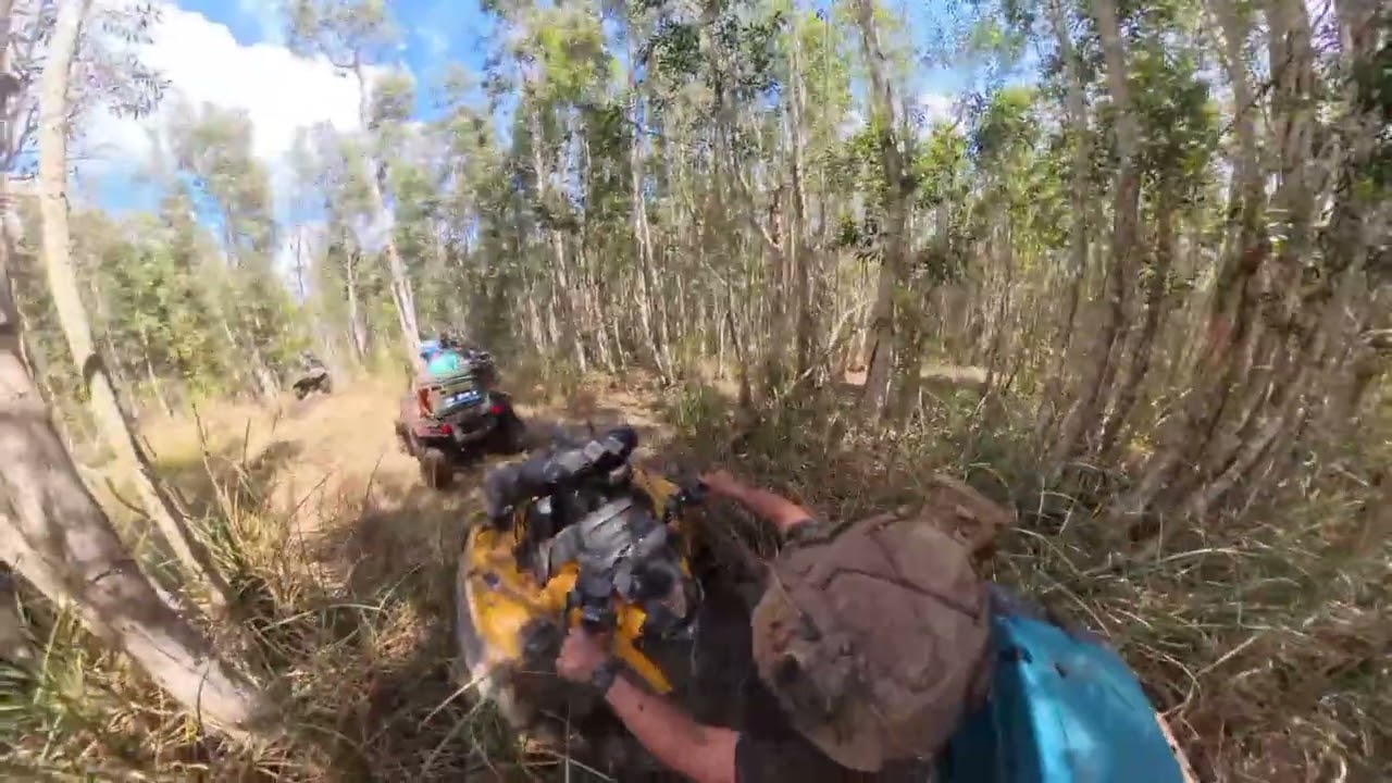 new trails