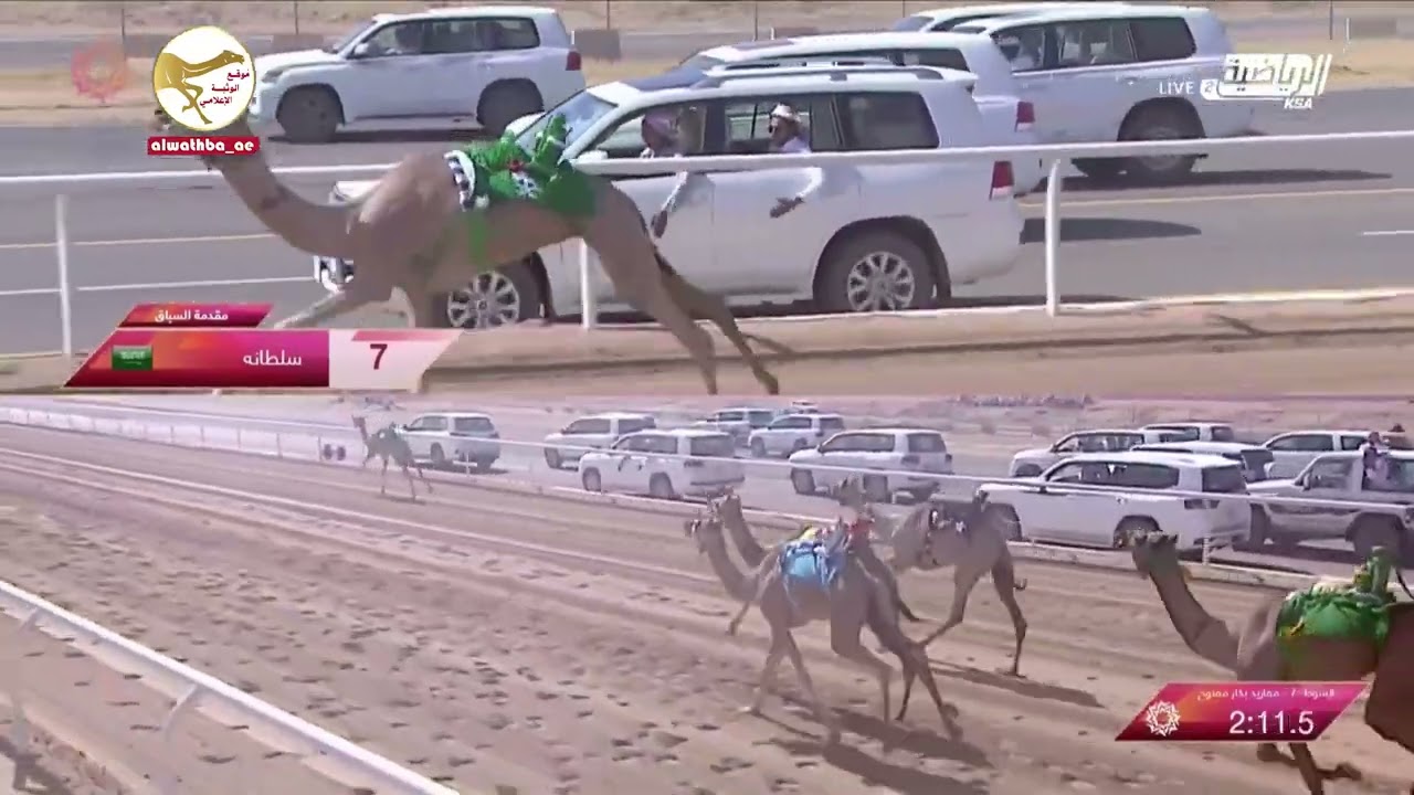 الشوط 7 (سحله) لـ صالح عطالله العطوي 3:07:28 ، مهرجان ولي العهد للهجن 2023/08/3 فطامين الطائف