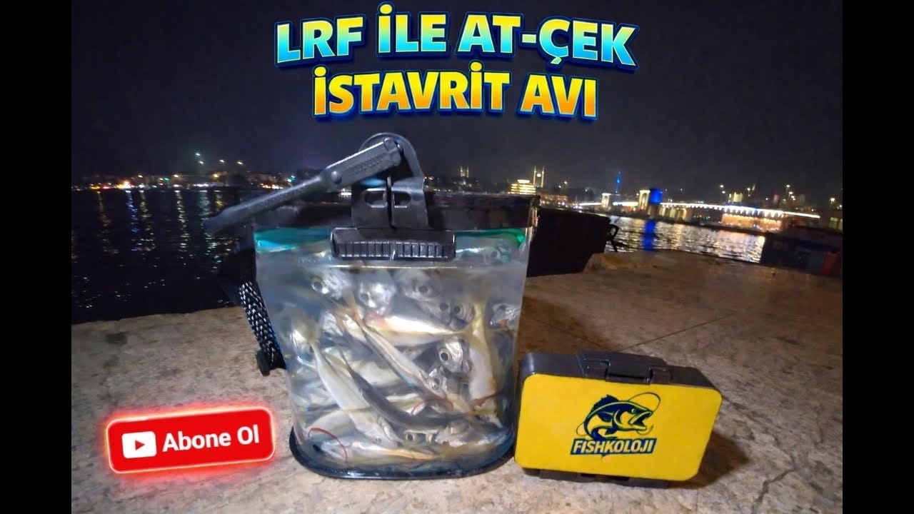 KARAKÖY AT-ÇEK LRF İSTAVRİT AVI / AT-ÇEK LRF BALIK AVI