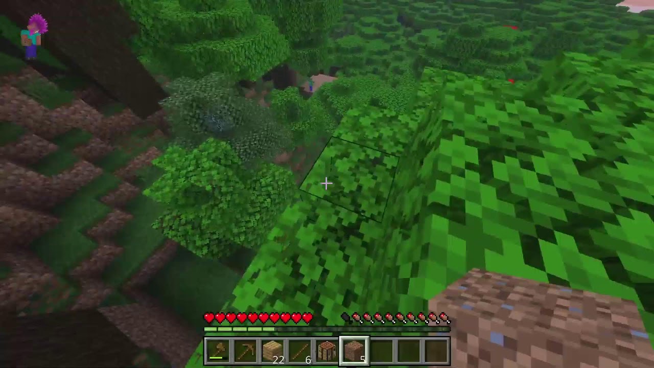 マイクラする