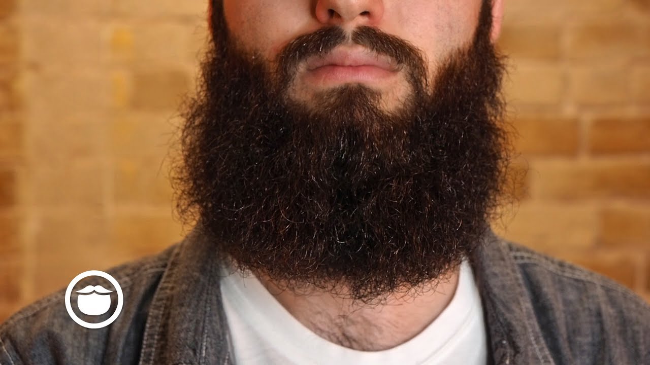 Why Your Beard is Falling Out | YEARD WEEK 27