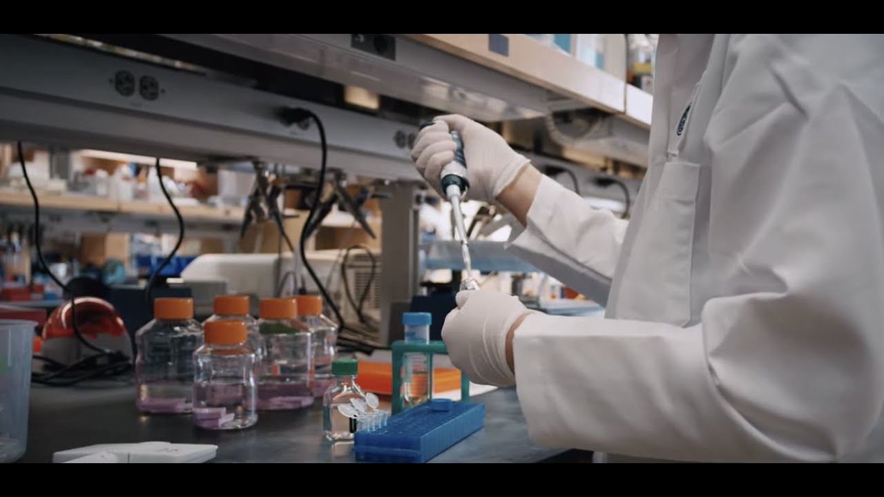 15th Anniversary of the Stem Cell Program at Boston Children's Hospital
