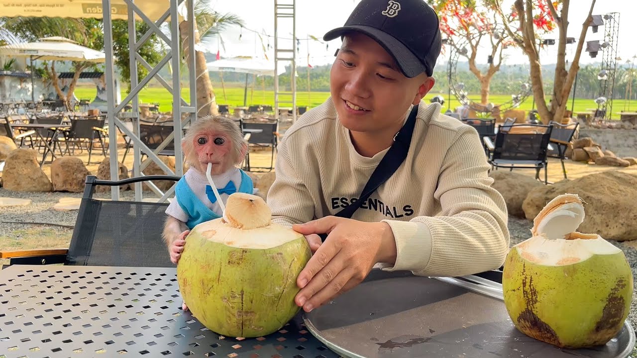 After Days of Illness, Dad Takes Cubis Out to Relax!