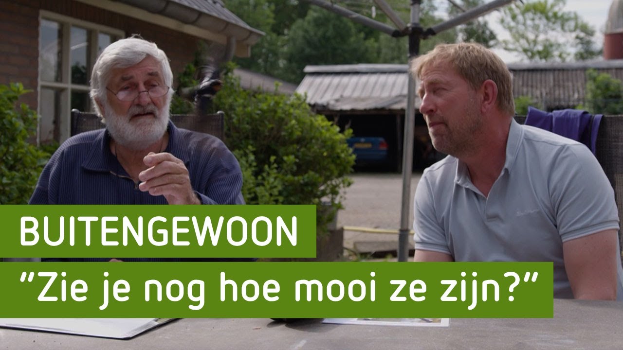 De natuur op de Noord Veluwe | BuitenGewoon
