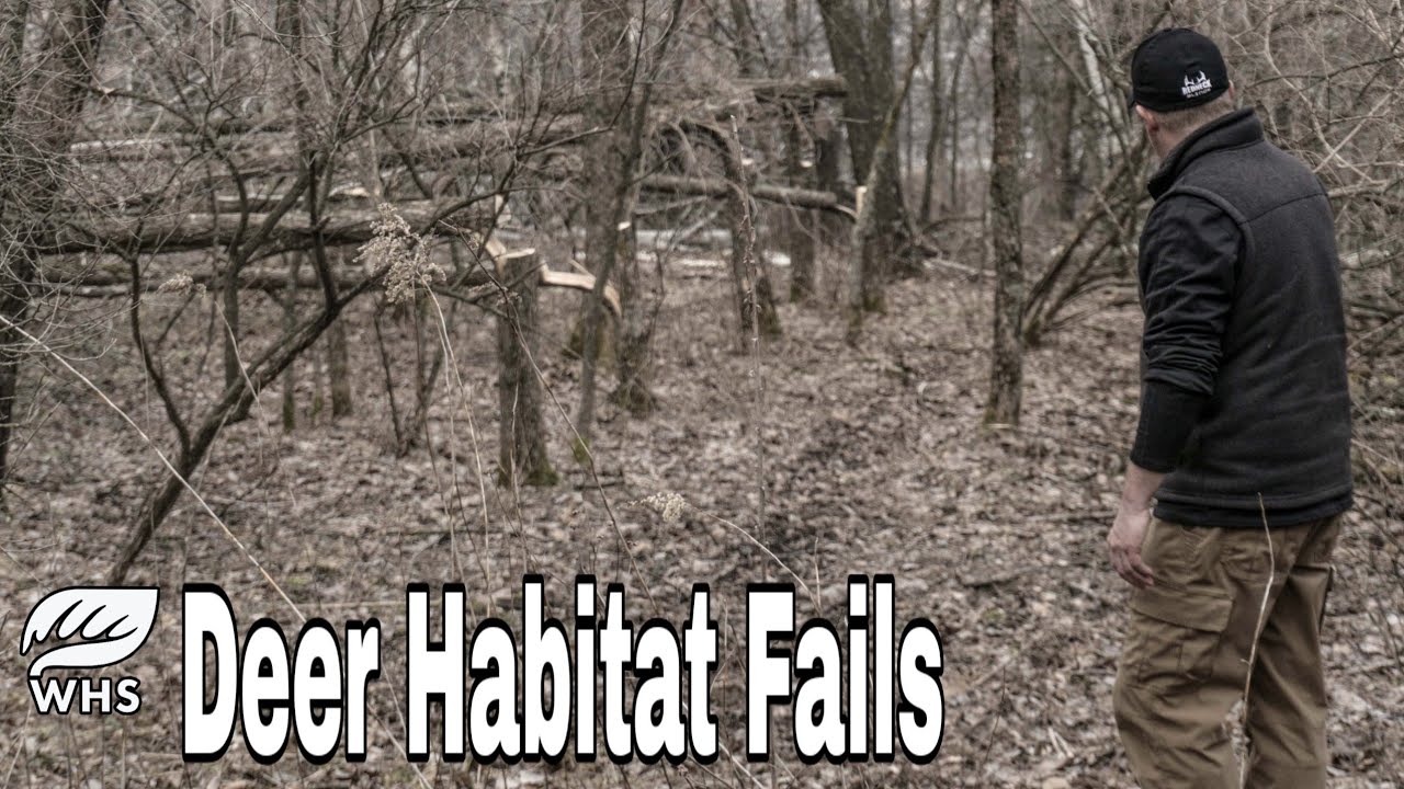 Top 5 Deer Habitat Mistakes