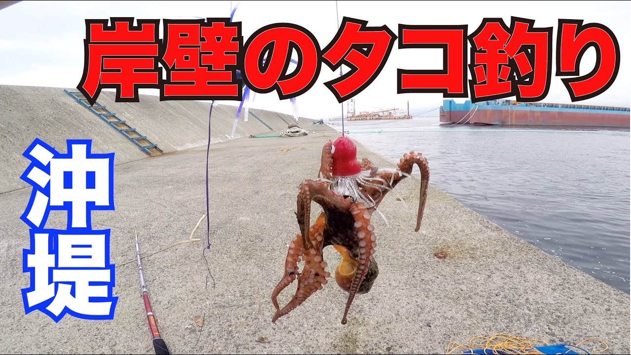 沖堤でタコ釣り！「タコジグ」で岸壁を探る方法