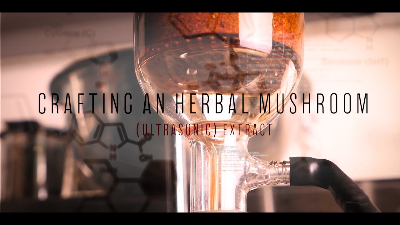 Crafting an Herbal Mushroom (Ultrasonic) Extract