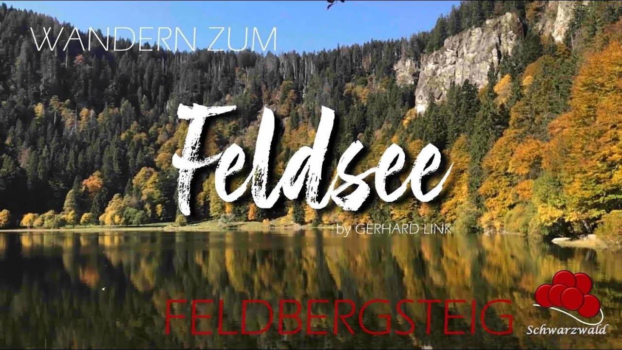 ＤＥＲ ＦＥＬＤＢＥＲＧ － ＦＥＬＤＢＥＲＧＳＴＥＩＧ ／ ＤＥＲ ＳＣＨＷＡＲＺＷＡＬＤ 🇩🇪 🥾 🌲 🌳🌻