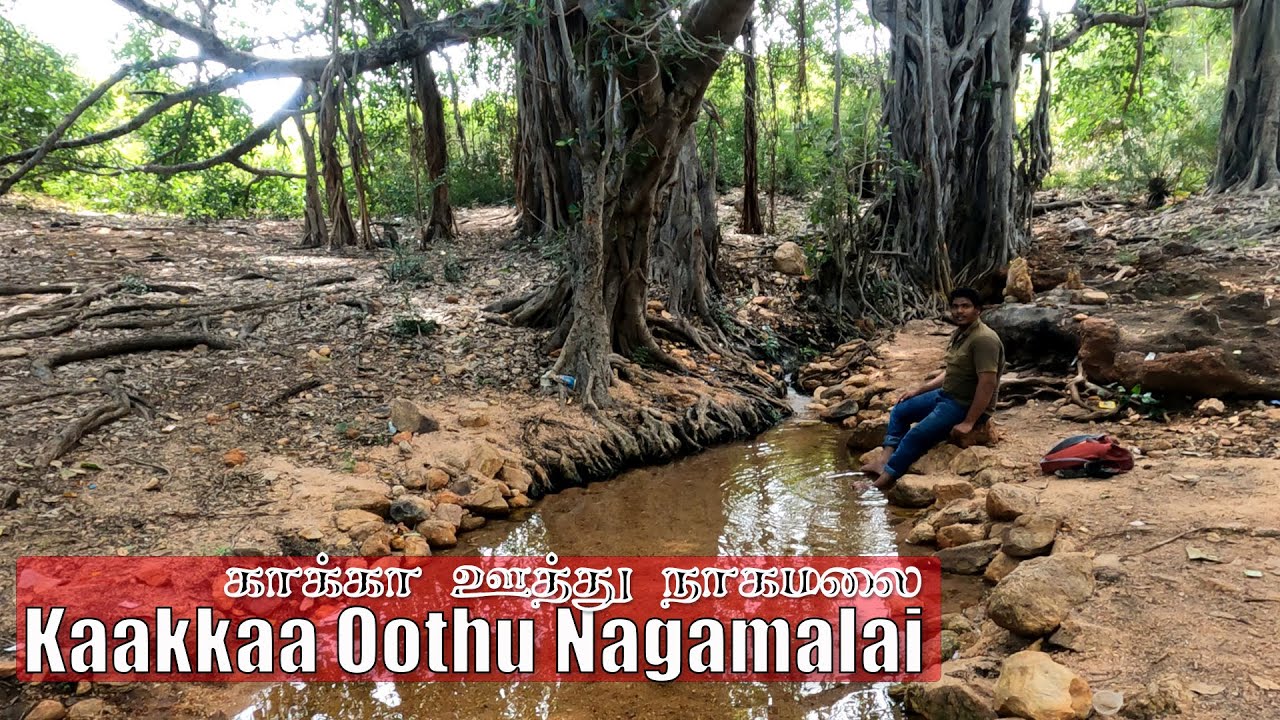 காக்கா ஊத்து நாகமலை மதுரை Kaakaa Oothu Nagamalai, Madurai