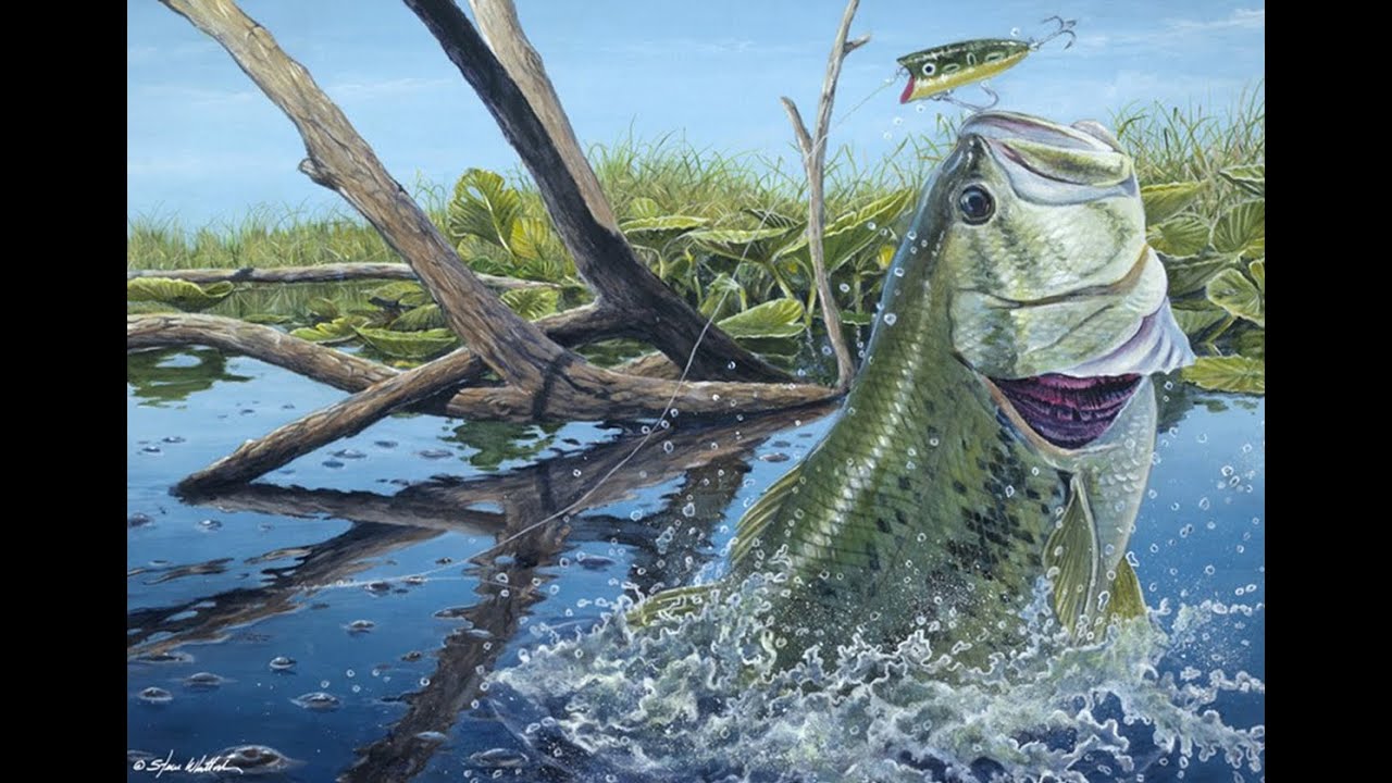 Pesca de Superfície ao Achigã