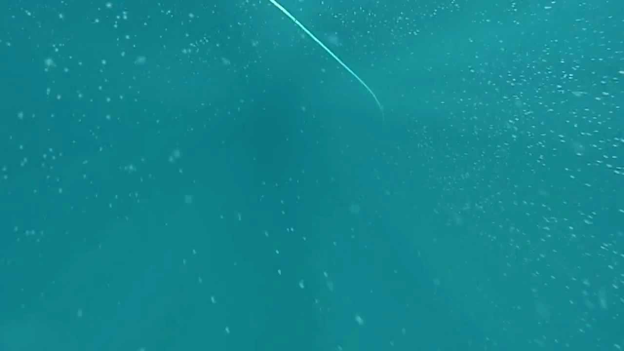SoloApnea - Peso Variable - Los Molles
