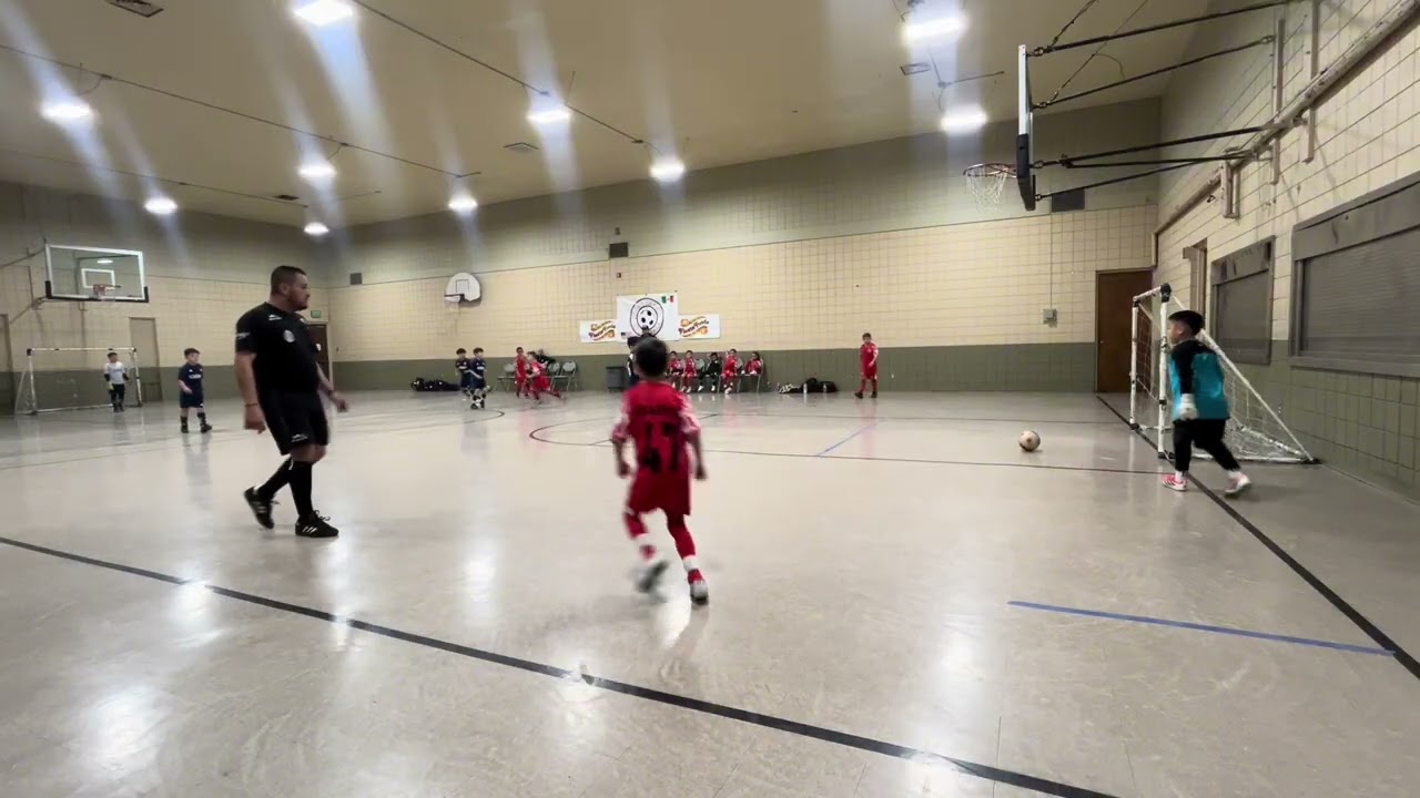 Vamos mini wildcats 
