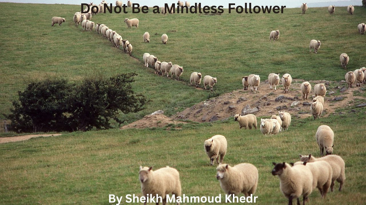 Do Not Be a Mindless Follower By Shaikh Mahmoud Khedr