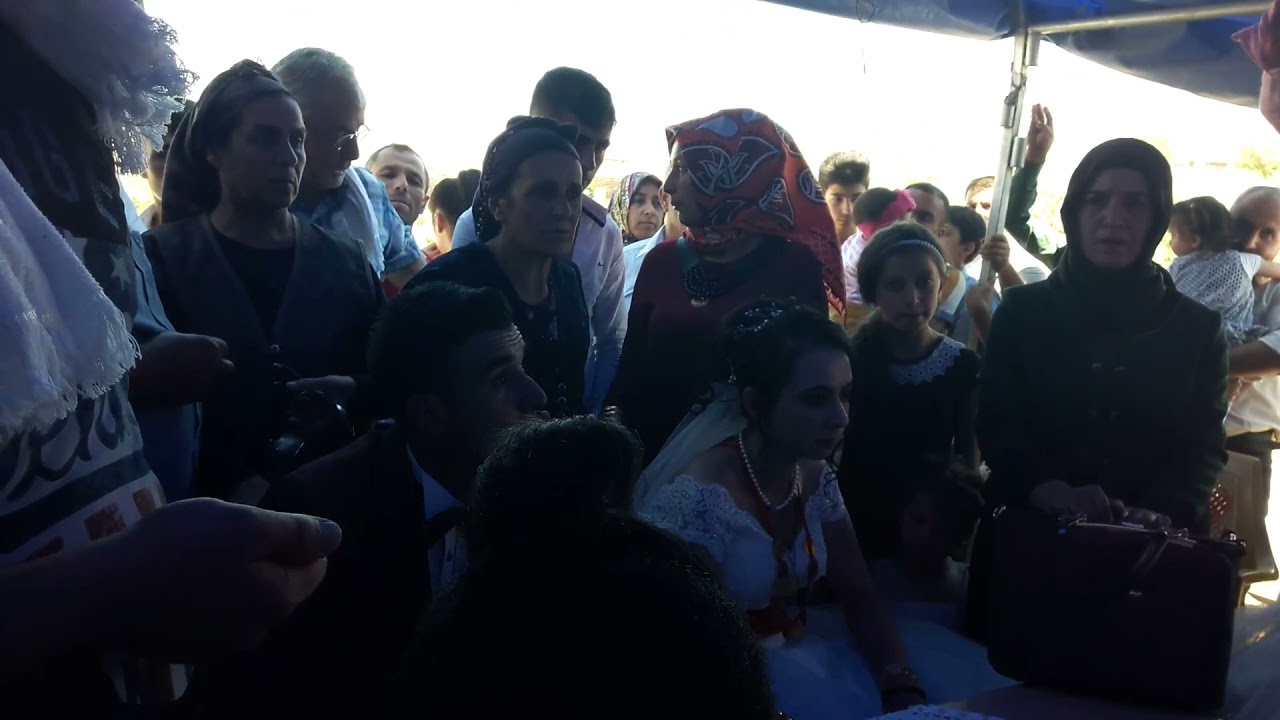 kayseri pınarbaşı çakılkaya halevik köyü tarkan ve ayşe ışıkın düğünü 2017 🌷👫😘🌼allah mutlu etsin