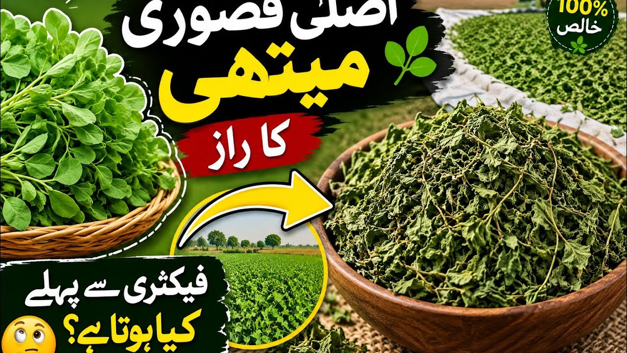 Kusery Mathiee ksa binie jite ha jinaa as vieod ma