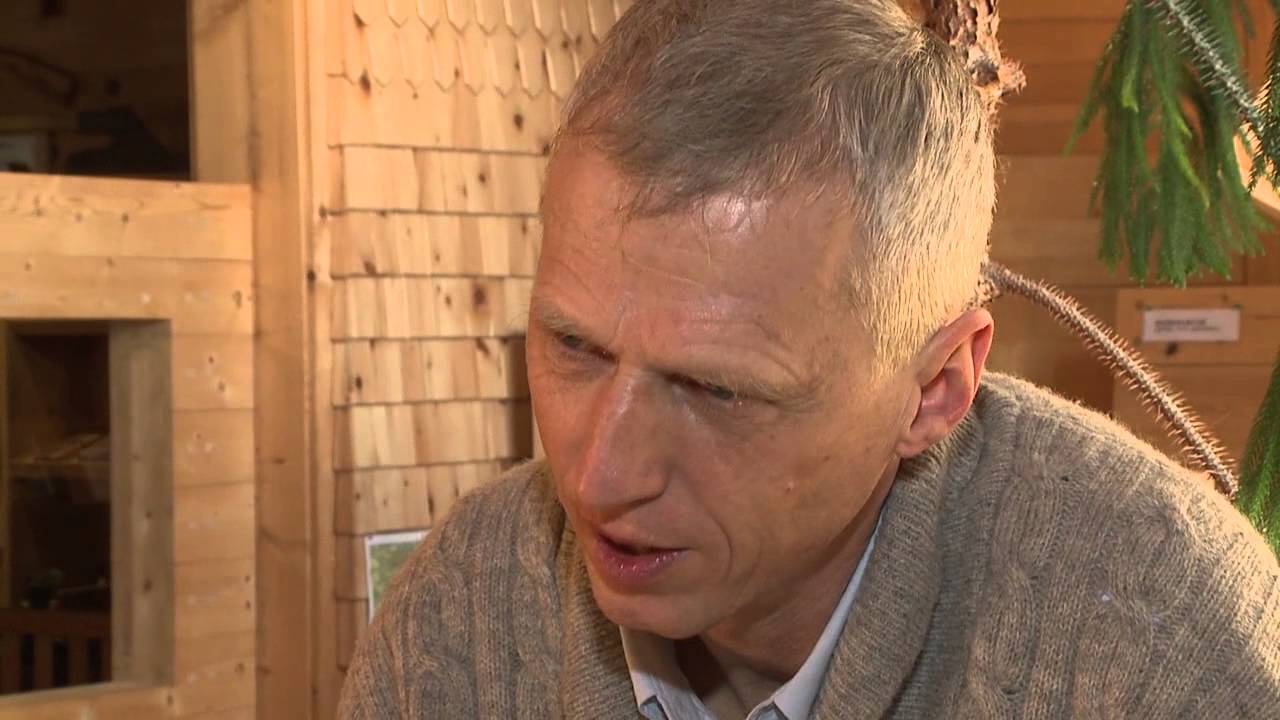 Holzhaus-Pionier Erwin Thoma im Bezirksblätter-Interview