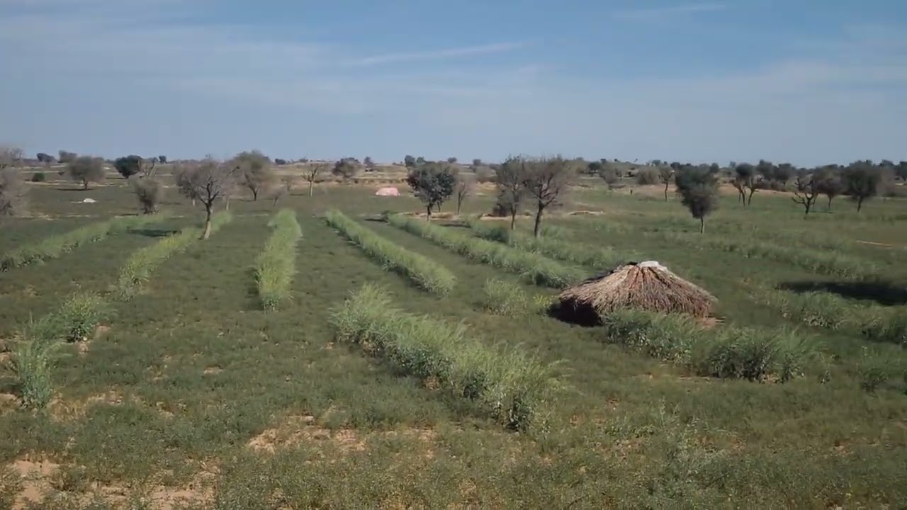 यूट्यूब पर सबसे ज्यादा देखा गया वीडियो