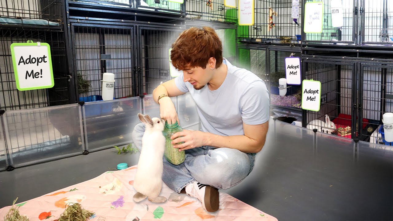 Visiting Homeless Animals at a Shelter - Episode 1