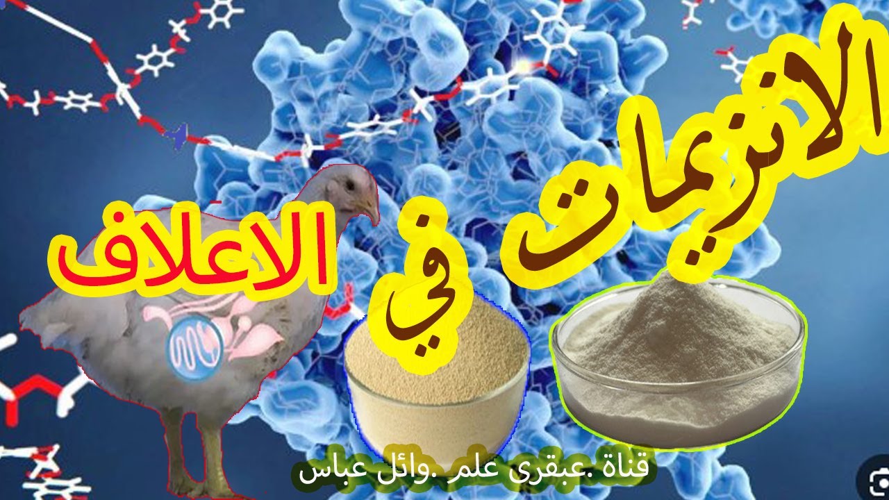 الإنزيمات المبتكرة: سر تحويل الألياف الصعبة في الأعلاف إلى مكونات هضم قابلة للامتصاص" قناة عبقرى علم